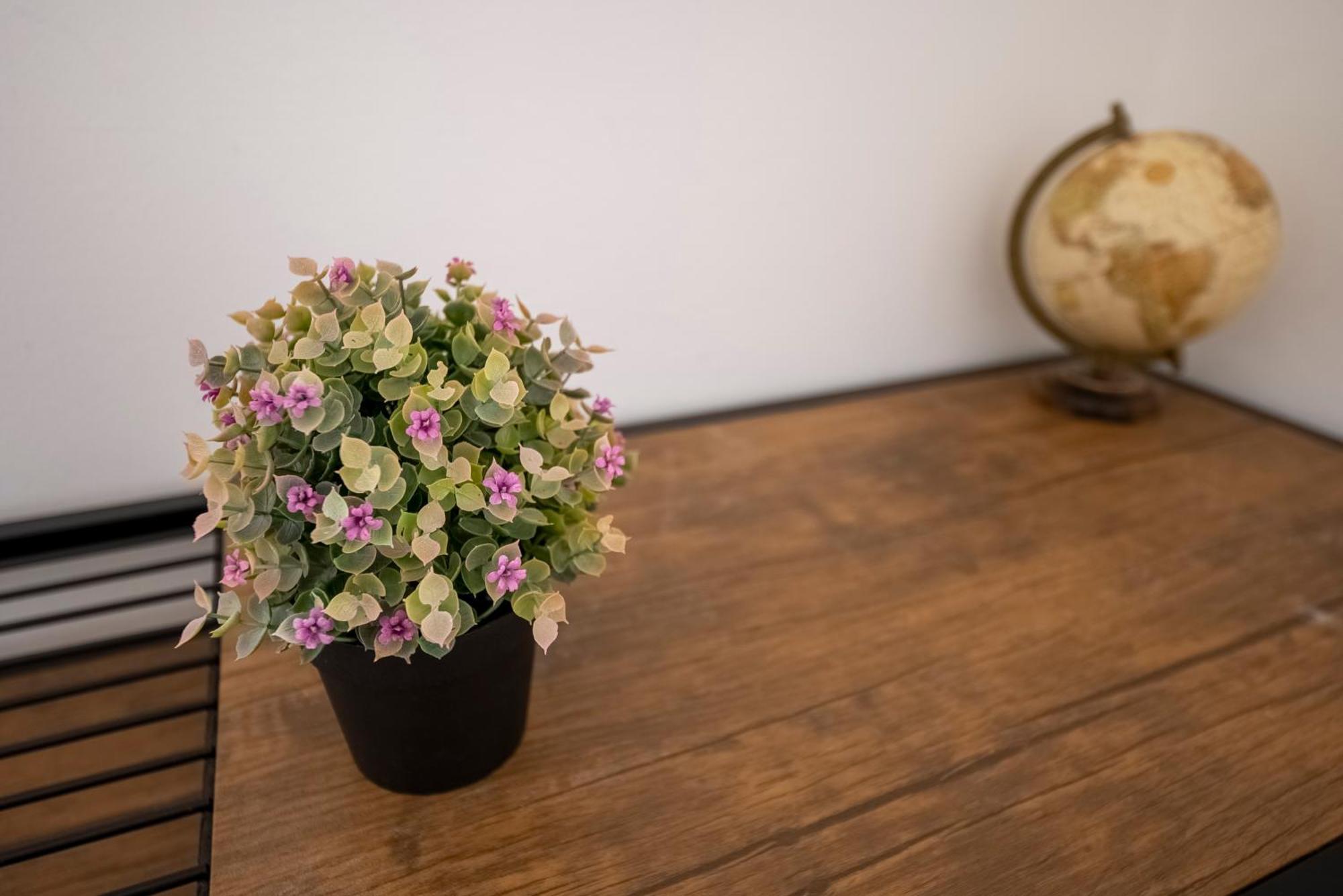 * Le Provencal * Cosy Flat 3 Min Walk From The Sea
