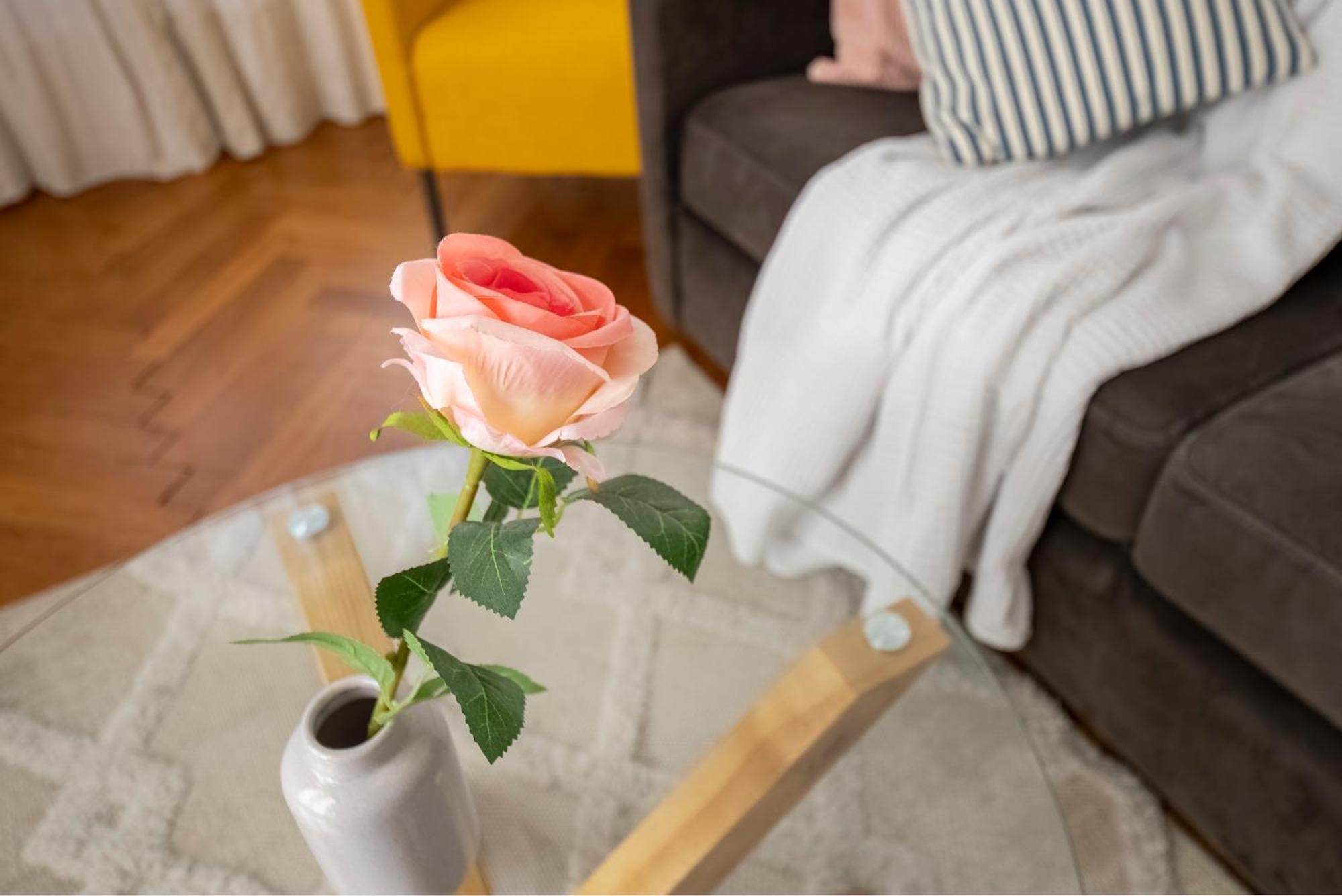 * Le Provencal * Cosy Flat 3 Min Walk From The Sea *